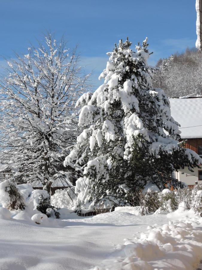 Haus Kremser Bad Kleinkirchheim Exteriör bild