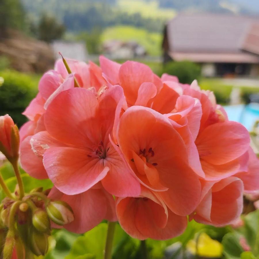 Haus Kremser Bad Kleinkirchheim Exteriör bild